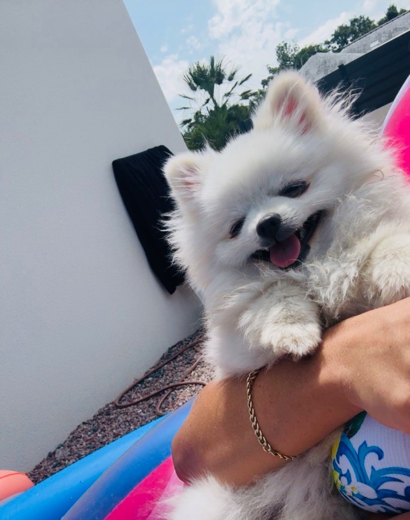 Victoire De L’Arche D’Anneso