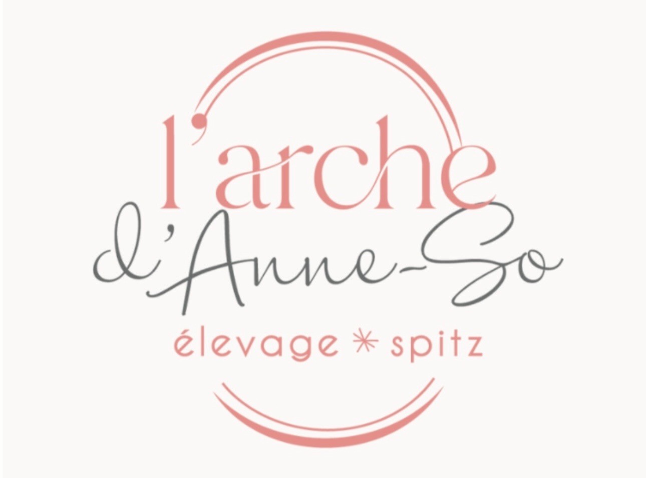 De L’Arche D’Anneso